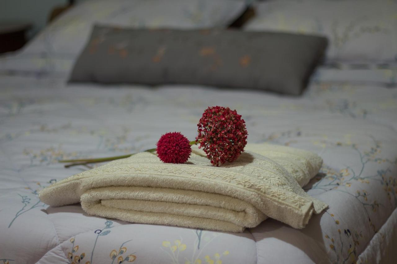 Akrolimnion Hotel Ioannina Ngoại thất bức ảnh